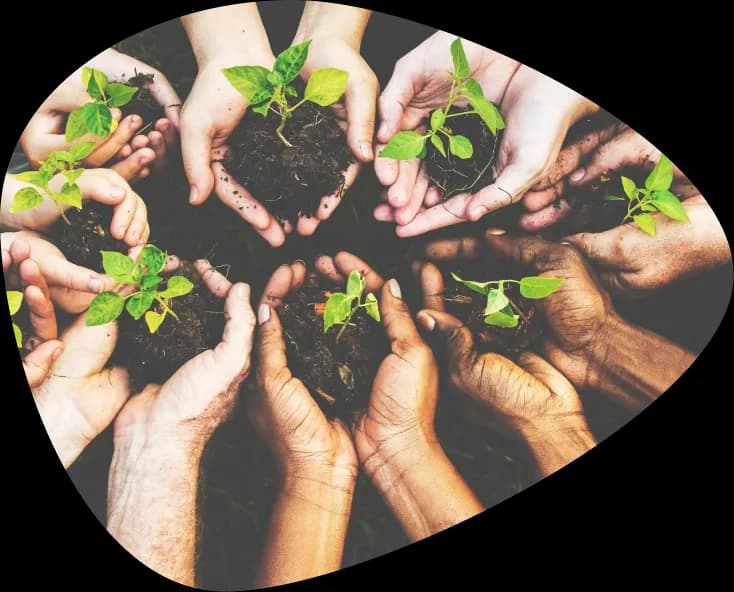 CHC52021 Diploma of Community Services